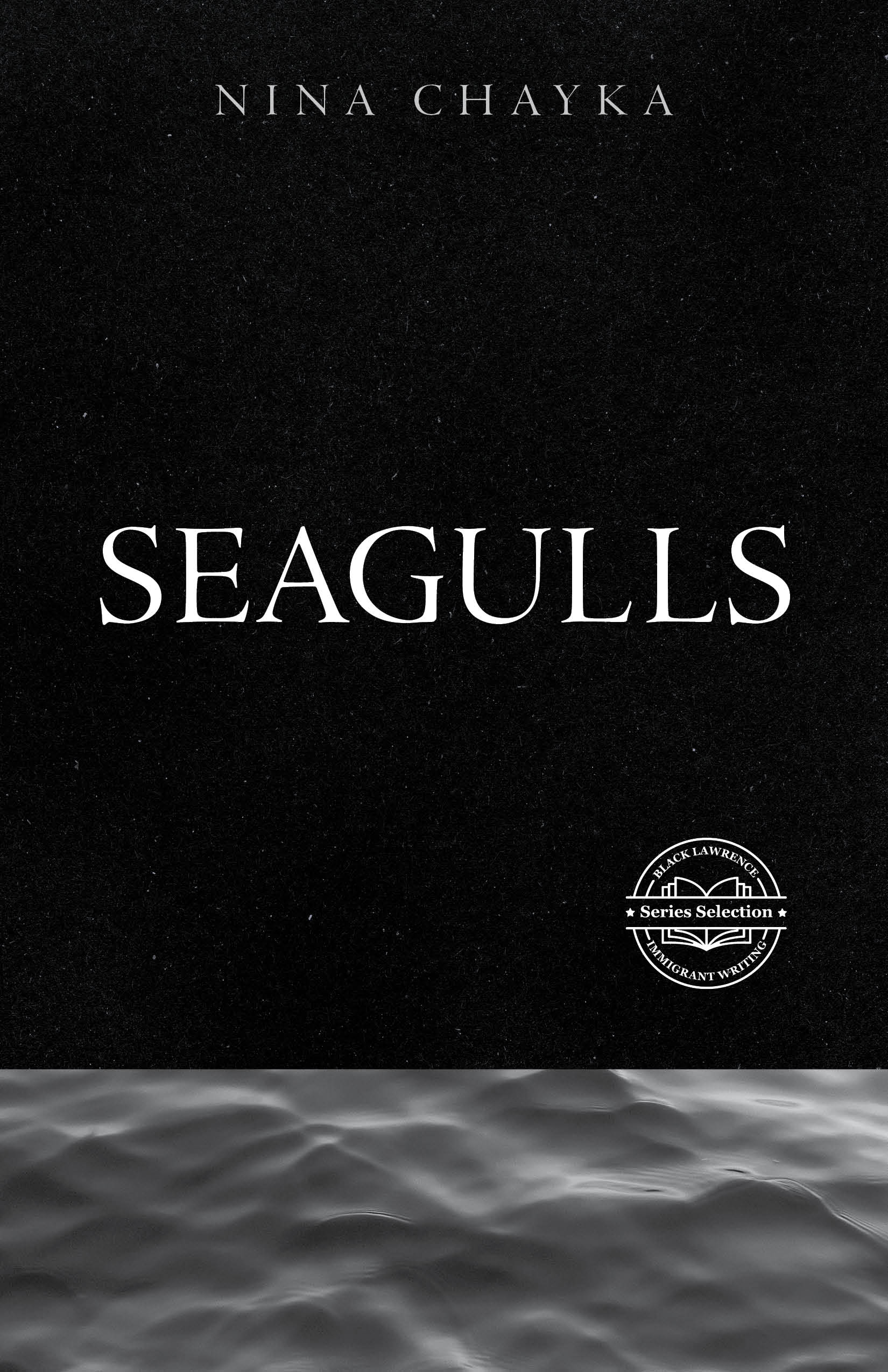Seagulls, a novel by Nina Chayka — book cover